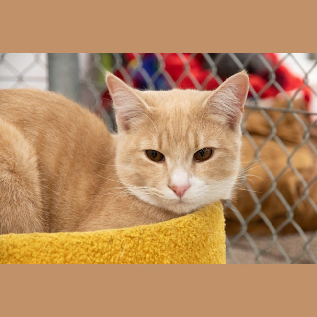 Photo of Luca Quinnell