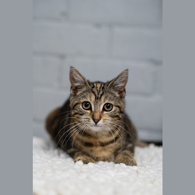 Photo of Jill