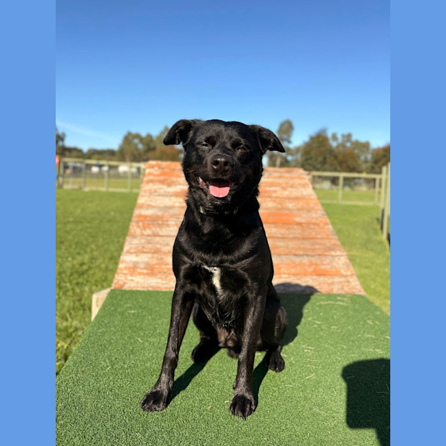 Photo of Fizz