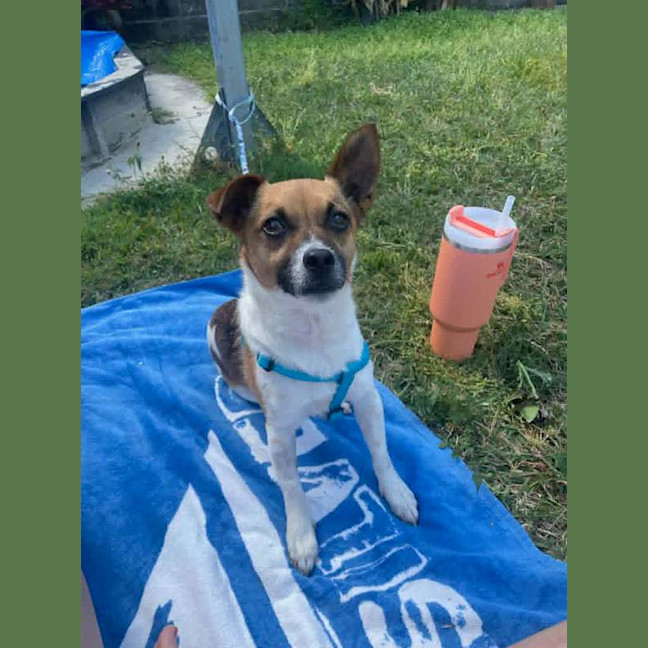 Photo of Hugo