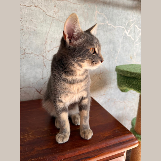 Photo of Morty