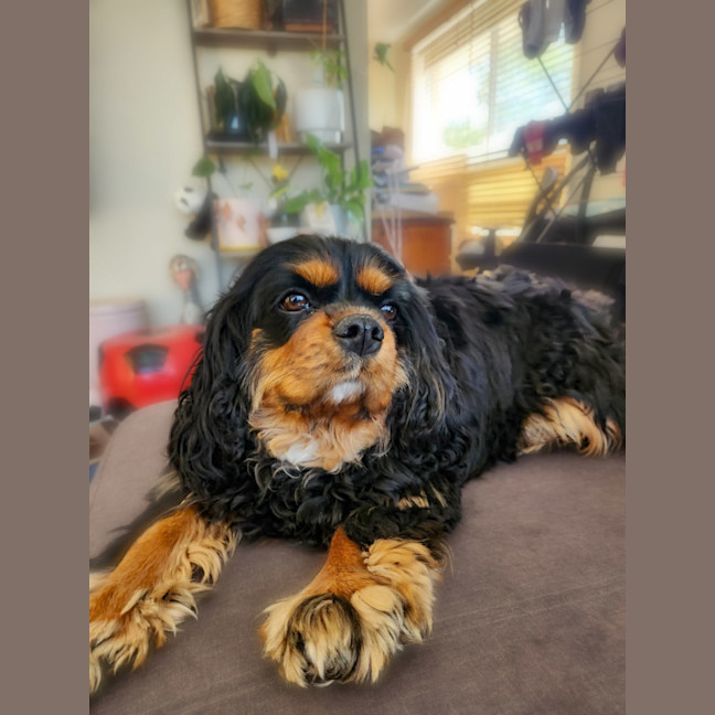 Photo of Hope 