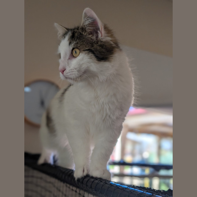 Photo of Jeffrey