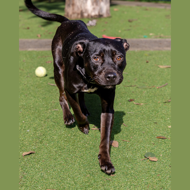 Photo of Zuri