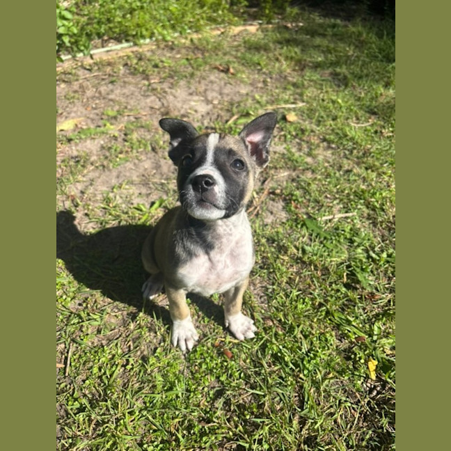 Photo of Navee 