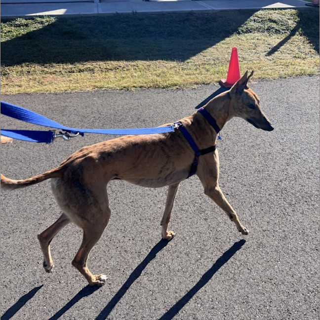 Photo of Wiggles