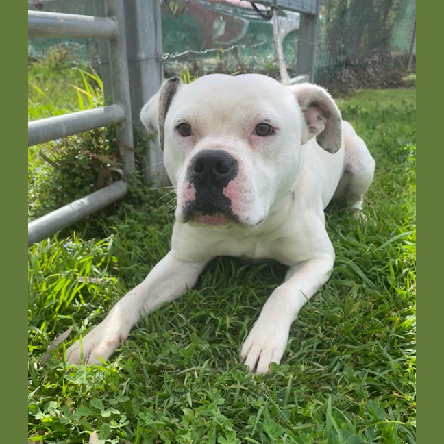 Photo of Casper