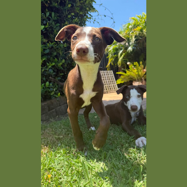 Photo of Marnie