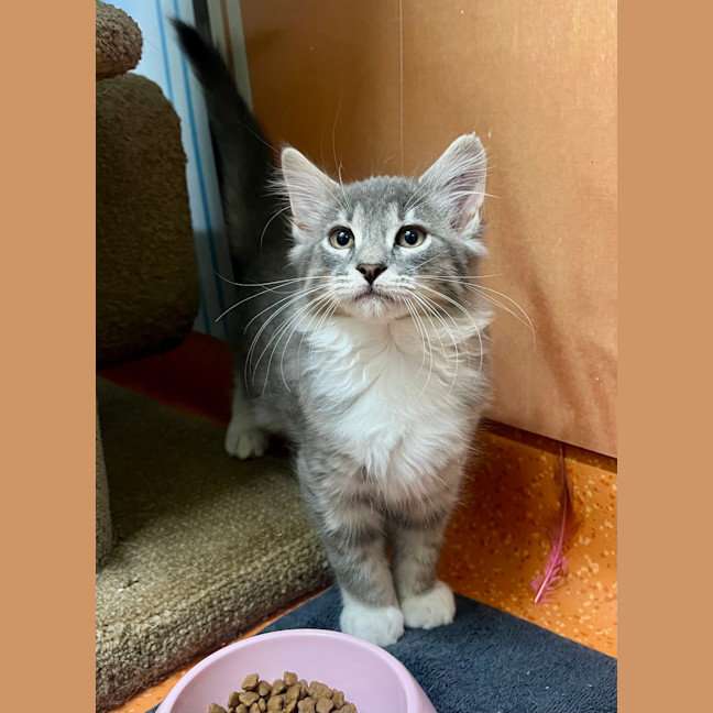 Photo of Storm