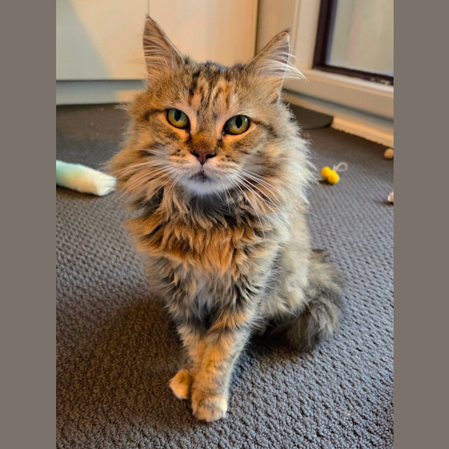 Photo of Carlita