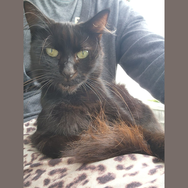 Photo of Layla