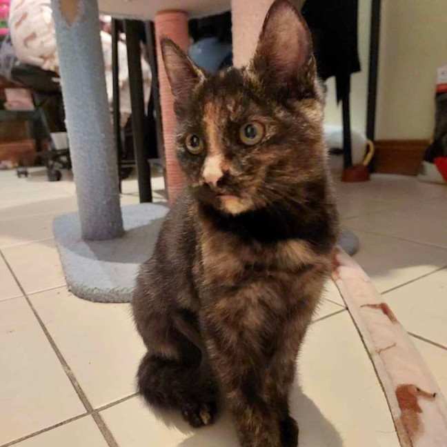 Photo of Pink   Located In Reservoir