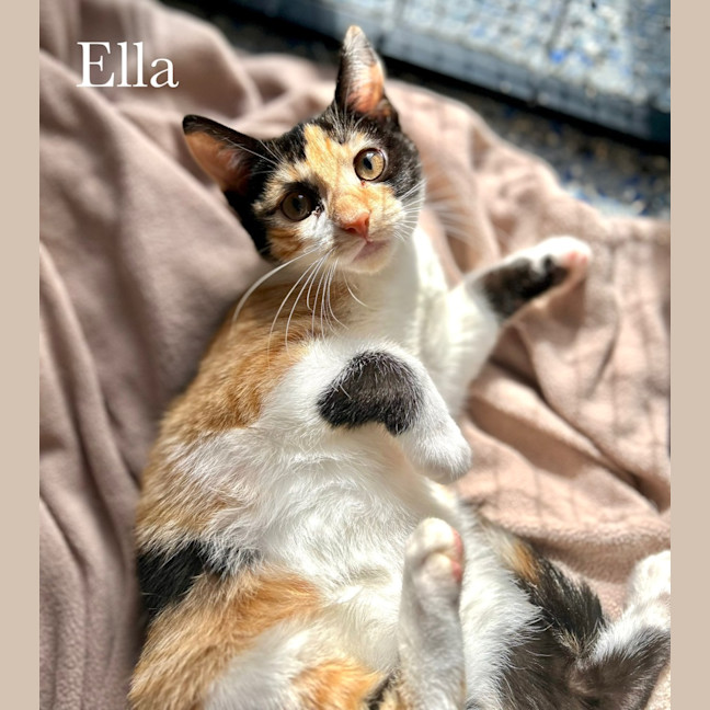 Photo of Ella 