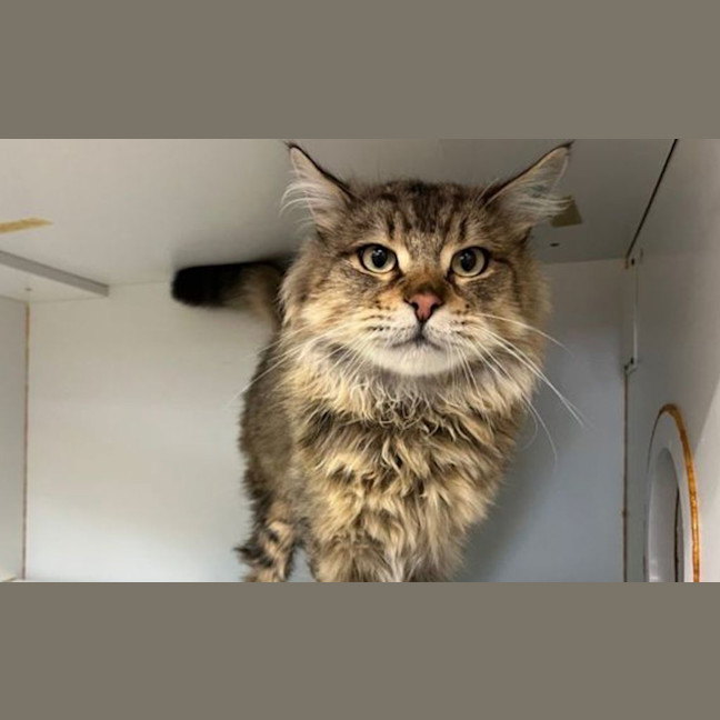 Photo of Mr Fry Guy