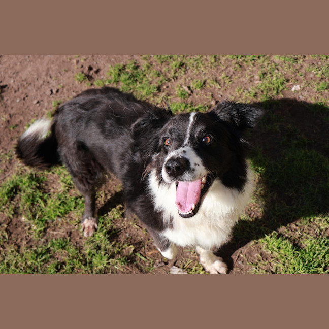 Photo of Mikka