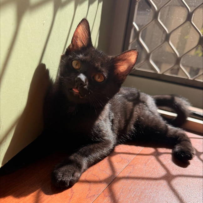 Photo of Franki