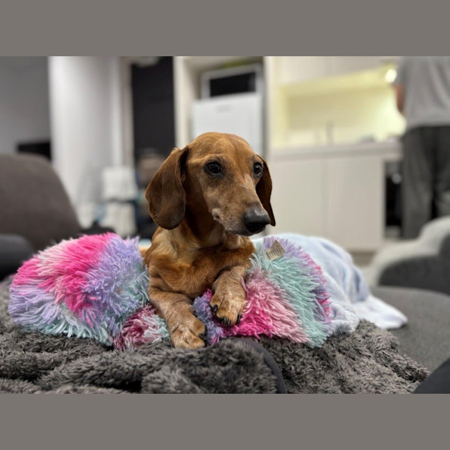 Photo of Hans Russelton