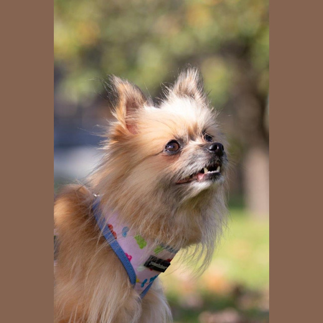 Photo of Jinx Everhart