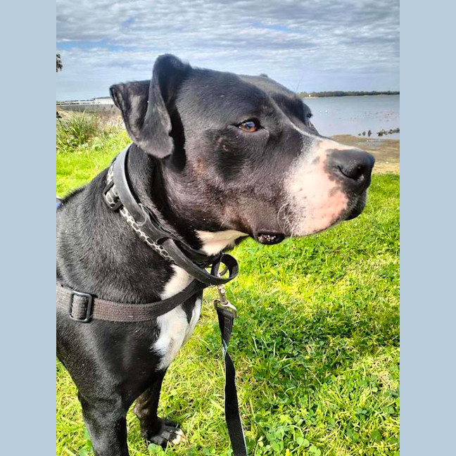Photo of Rogan