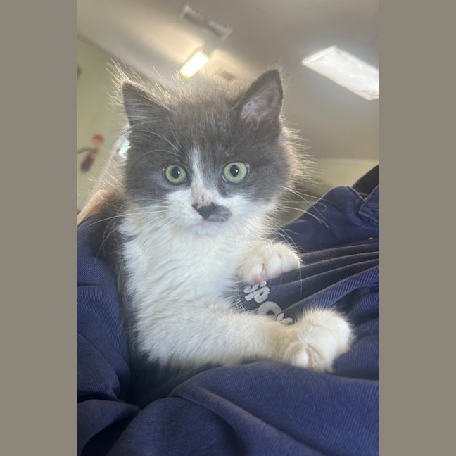 Photo of Marmite