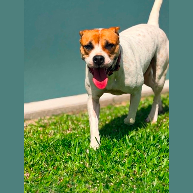 Photo of Molly