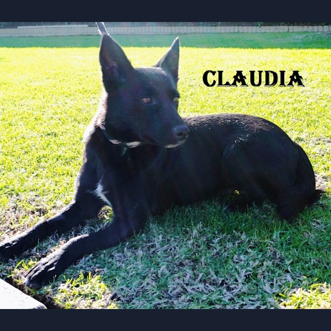 Photo of Claudia