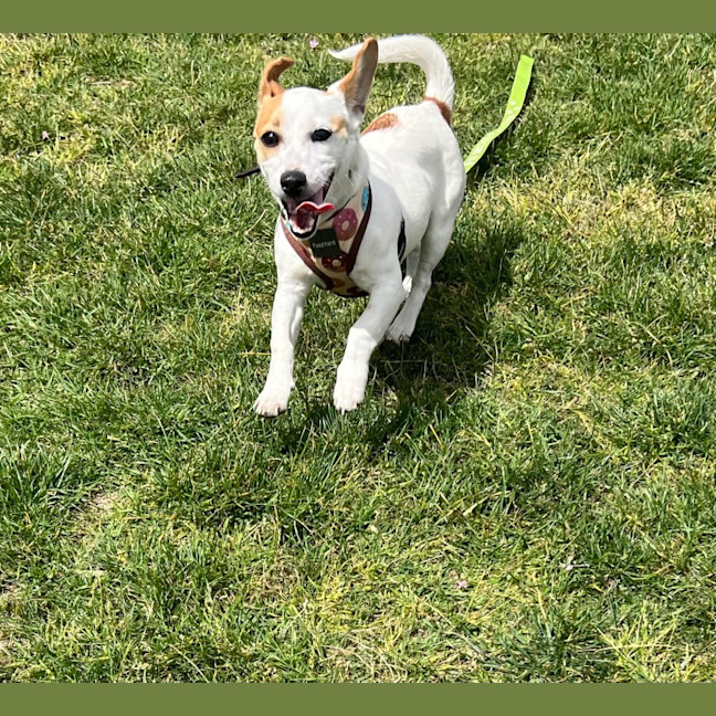 Photo of Missy