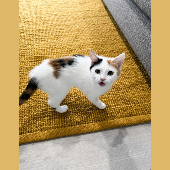 Photo of Ellie May 