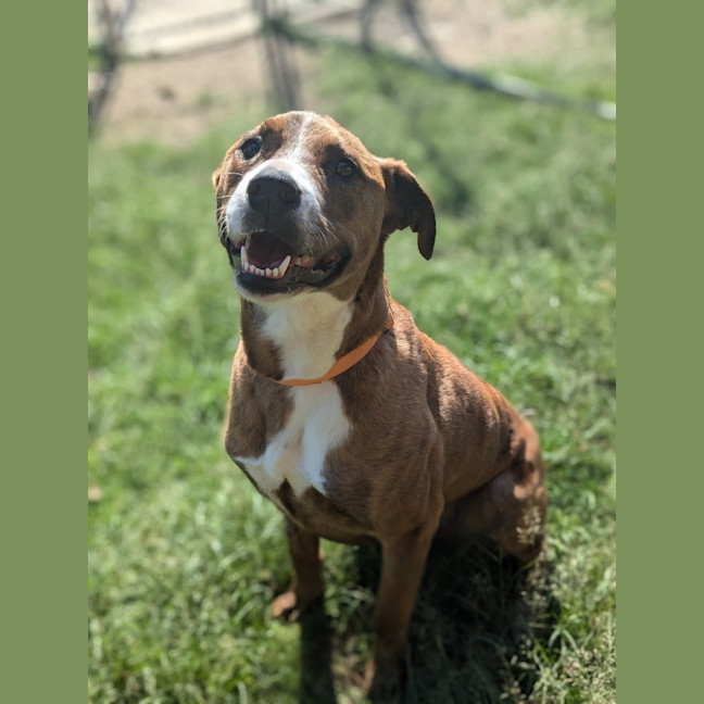 Photo of Ralph