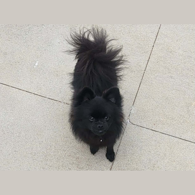 Photo of Leila