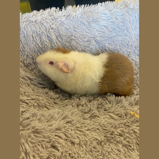 Photo of George