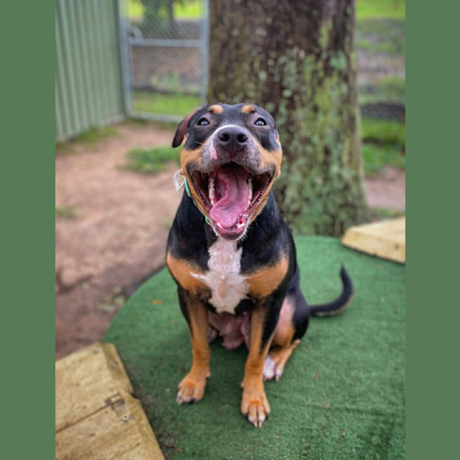 Photo of Marnie