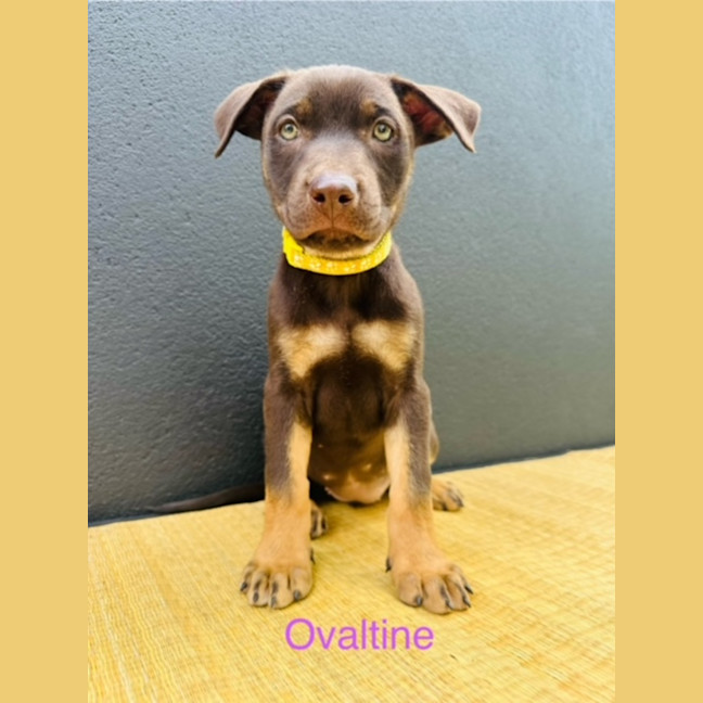 Photo of Uk Beverages Litter