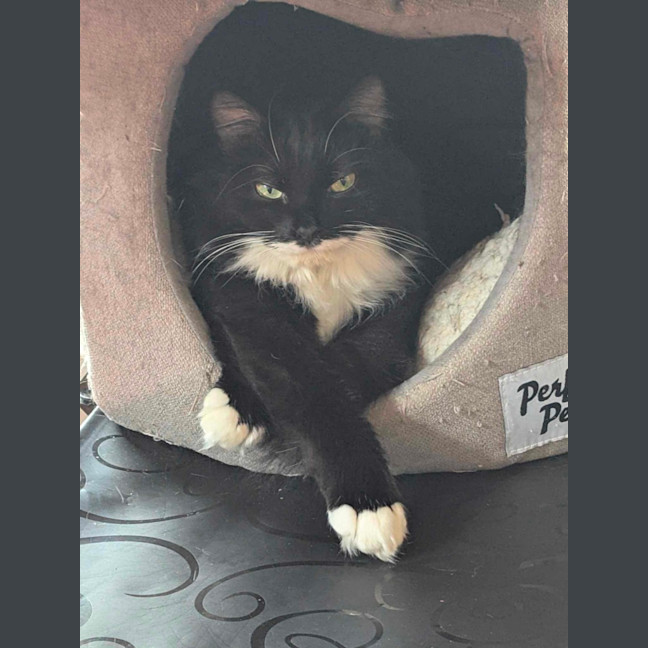 Photo of Cloudy And Midnight