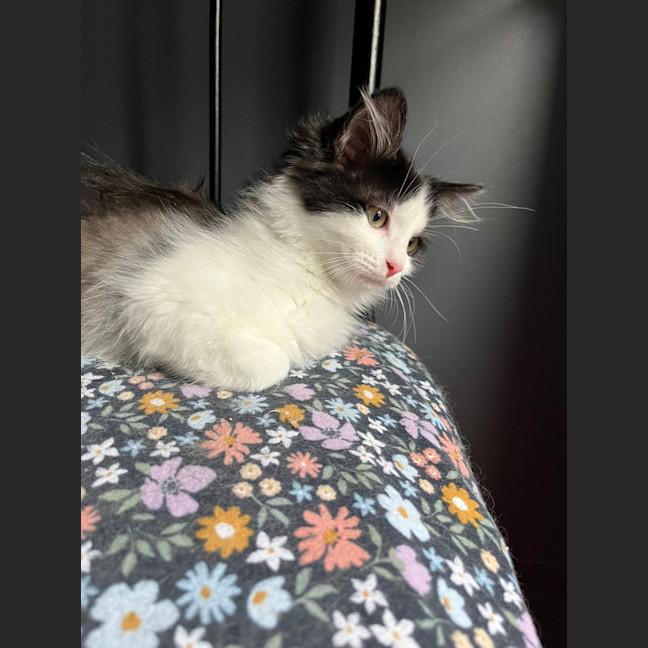 Photo of Alley