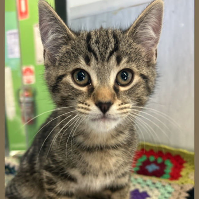 Photo of Mr. Wiggle