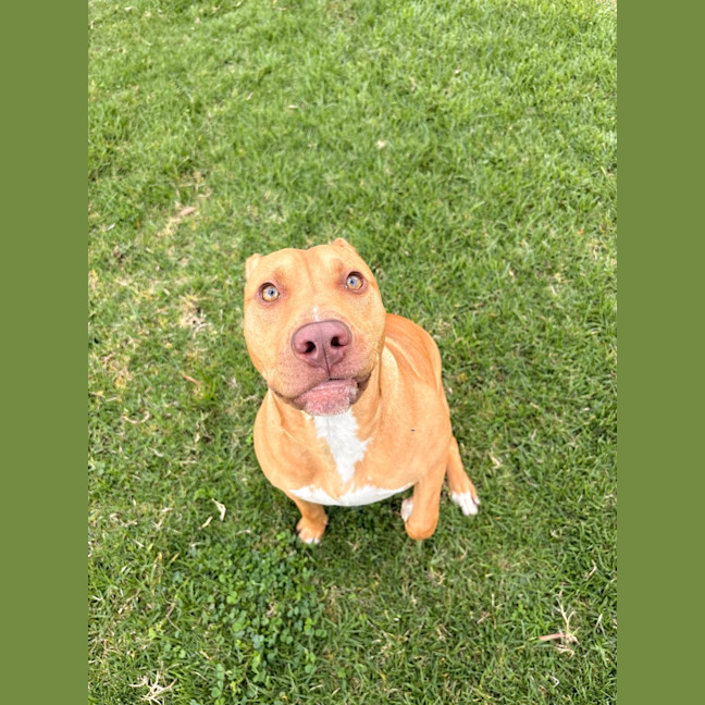 Photo of Cleo