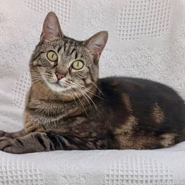 Photo of Zeus