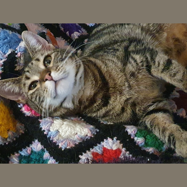 Photo of Shanti