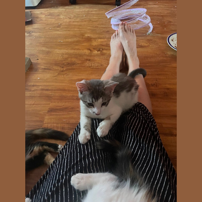 Photo of Oliver