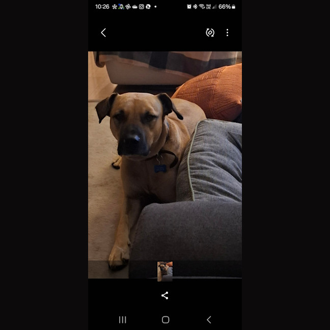 Photo of Turbo 