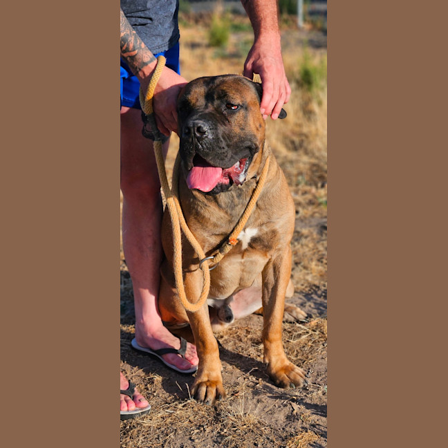 Photo of Ace