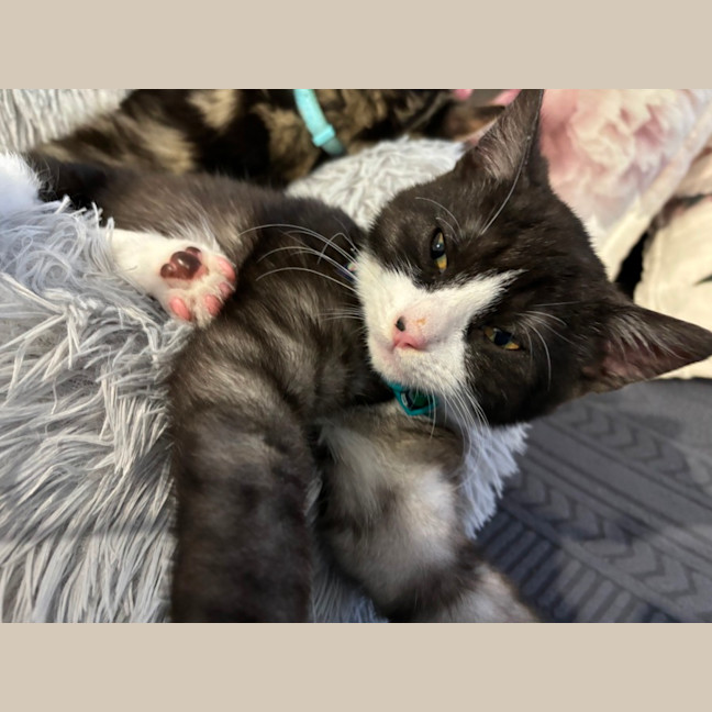 Photo of Pinky
