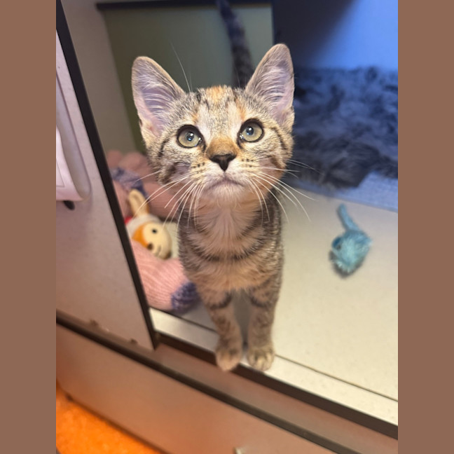 Photo of Tabitha