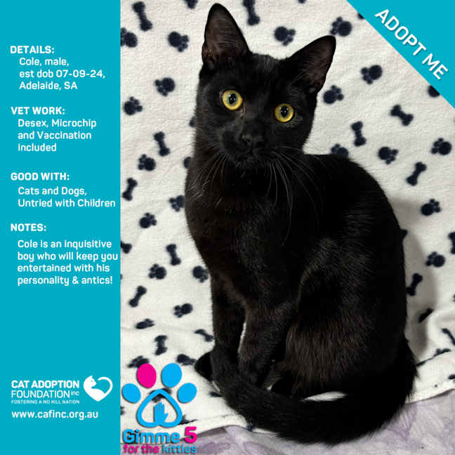 Photo of Cole 2 For 1 Mum & Bubs Deal Available!