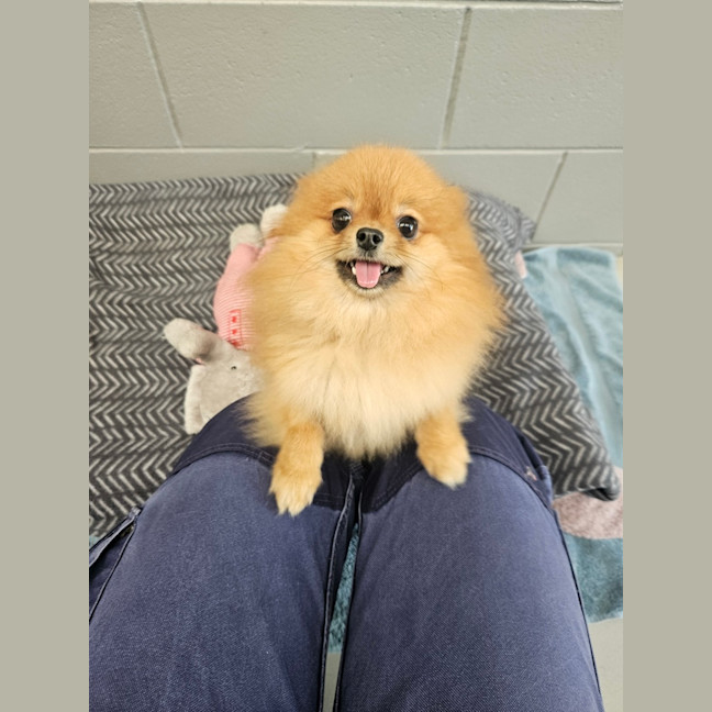 Photo of Evie