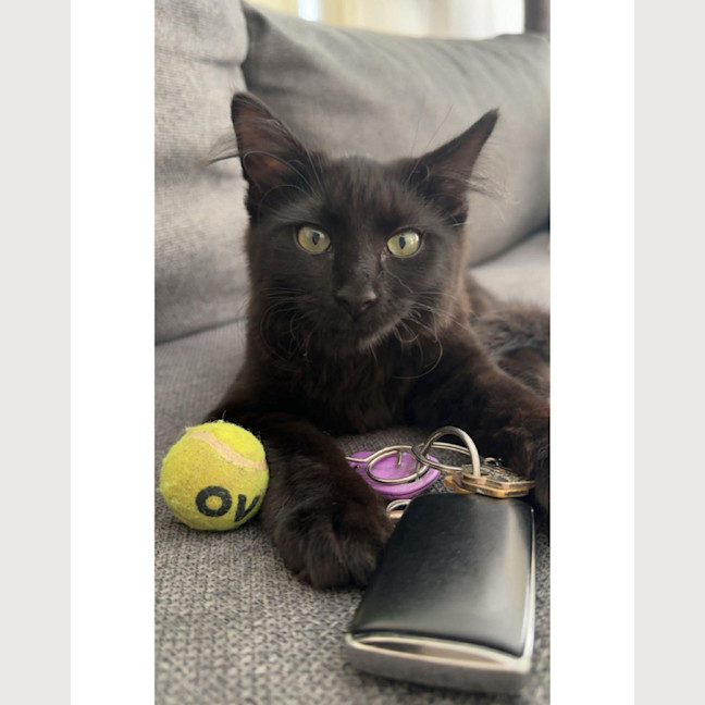 Photo of Nera