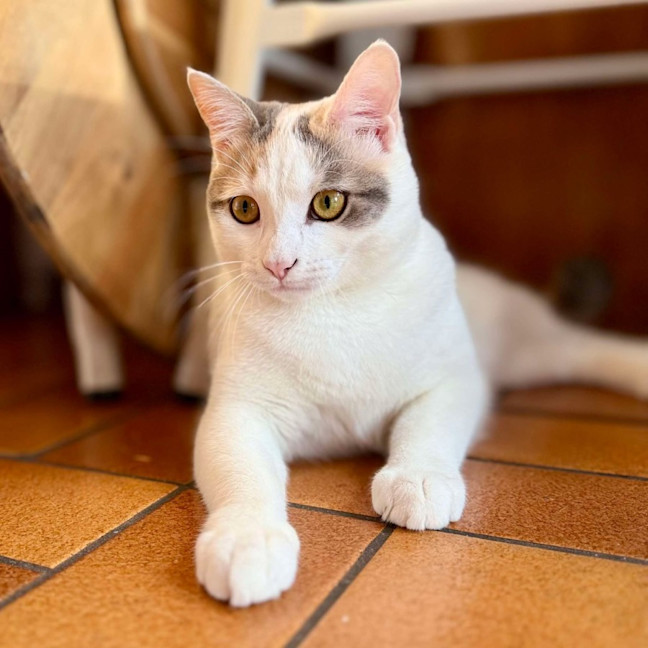 Photo of Bonnie   Located In Avondale Heights