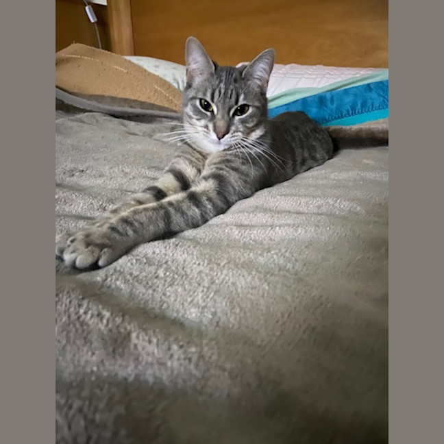 Photo of Bella