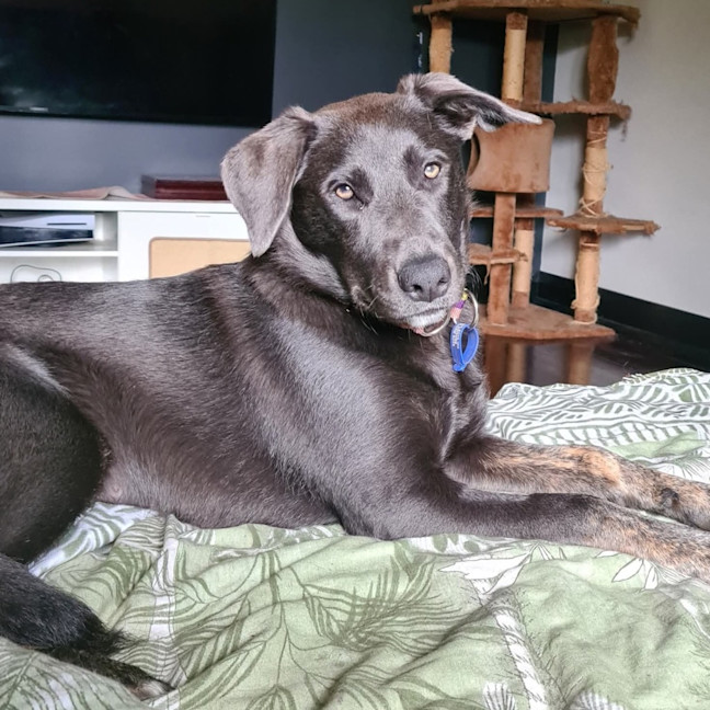 Photo of Tilly
